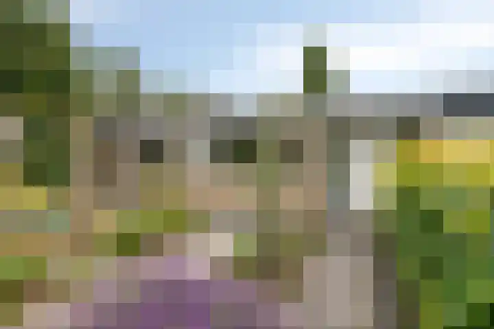 Park Berkenoord 40 Pijnacker thumbnail 6