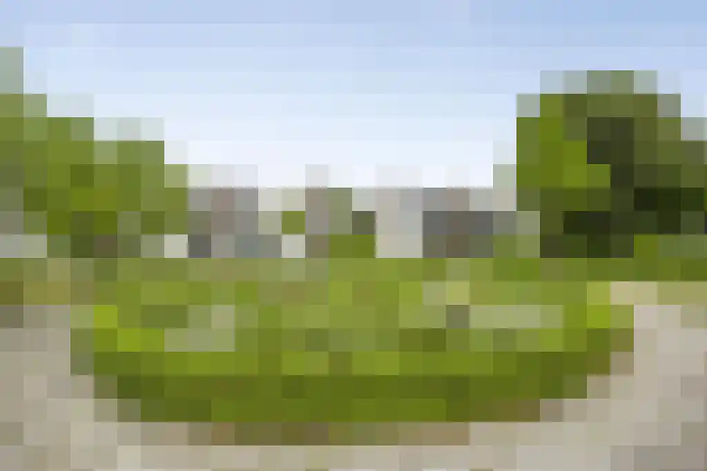 Park Beukenhof 2 Kapelle thumbnail 33