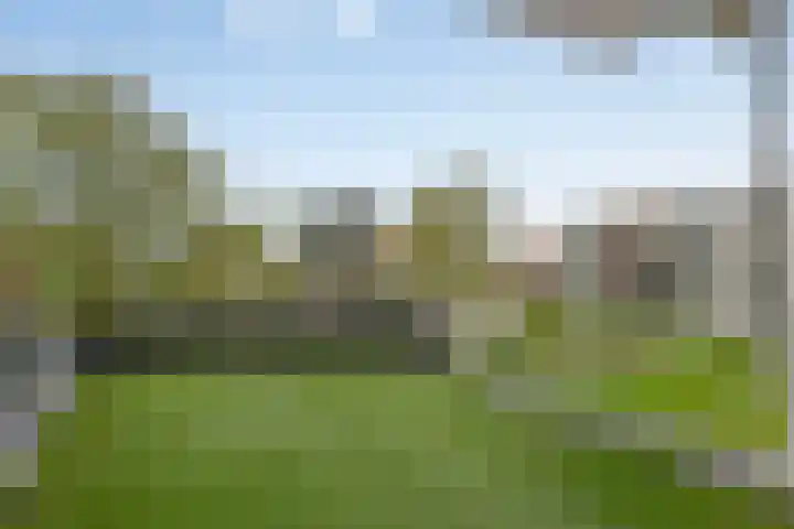 Park Beukenhof 21 Kapelle thumbnail 5