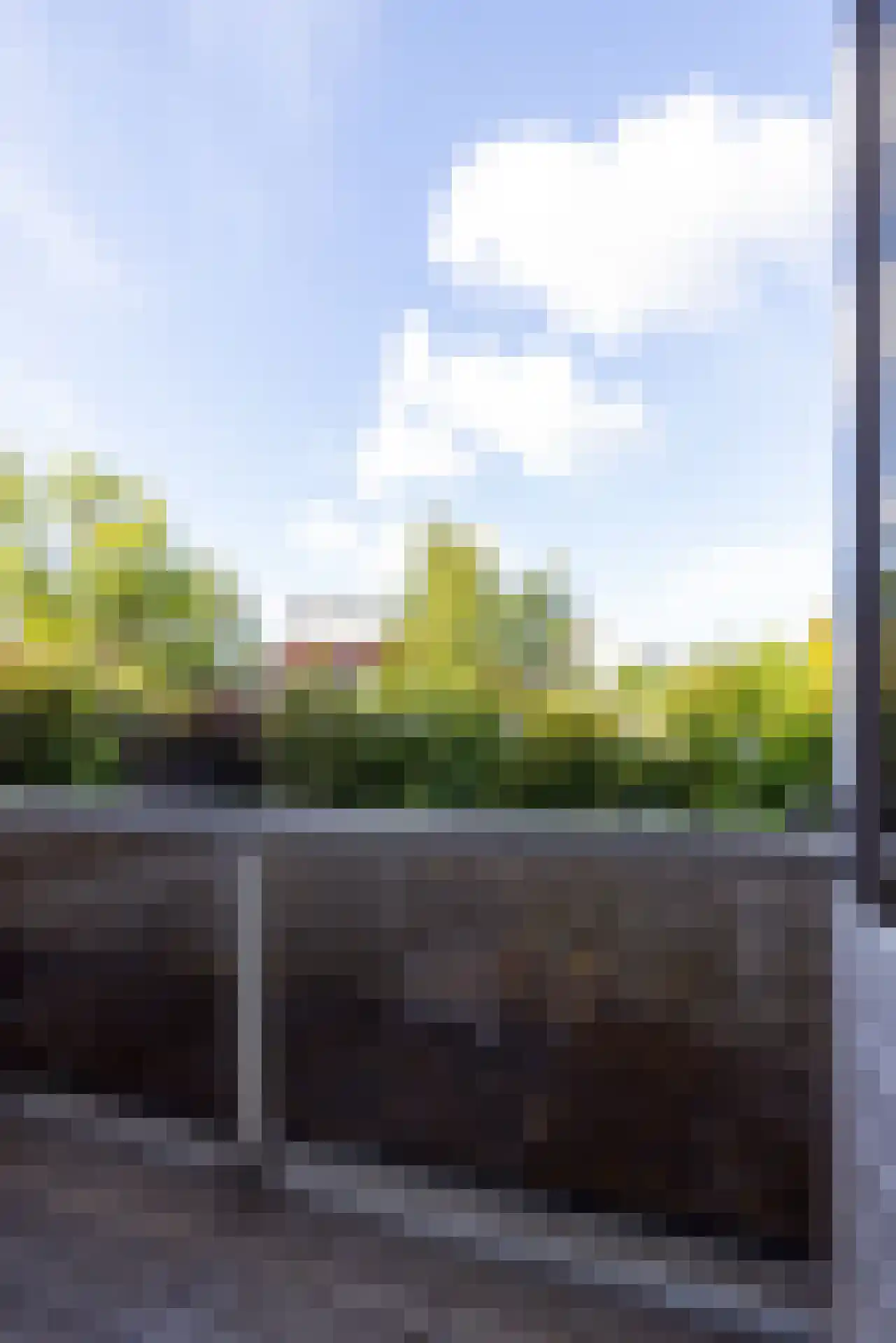Park Bijdorp 27 Rotterdam thumbnail 35