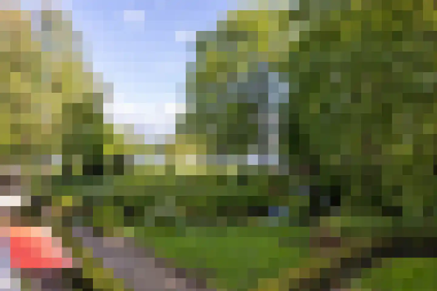Park Bijdorp 27 Rotterdam thumbnail 4