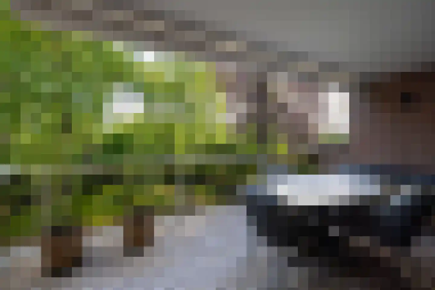 Park Bijdorp 27 Rotterdam thumbnail 40