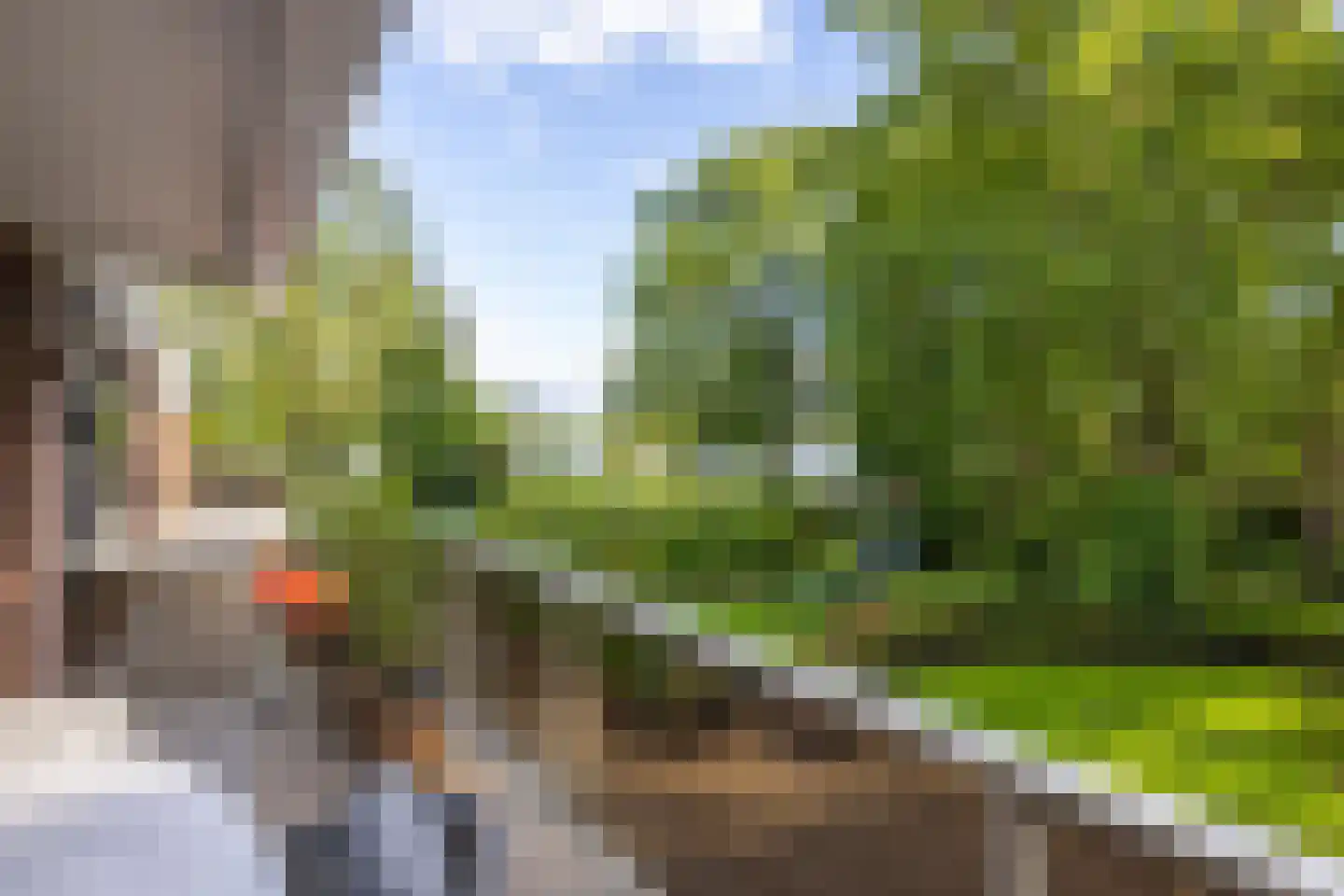 Park Bijdorp 27 Rotterdam thumbnail 41