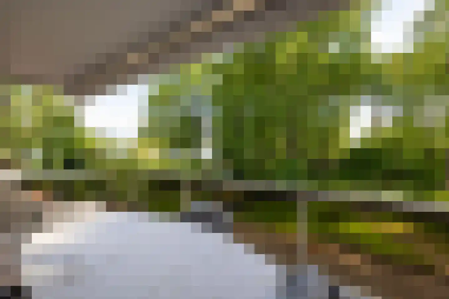 Park Bijdorp 27 Rotterdam thumbnail 42