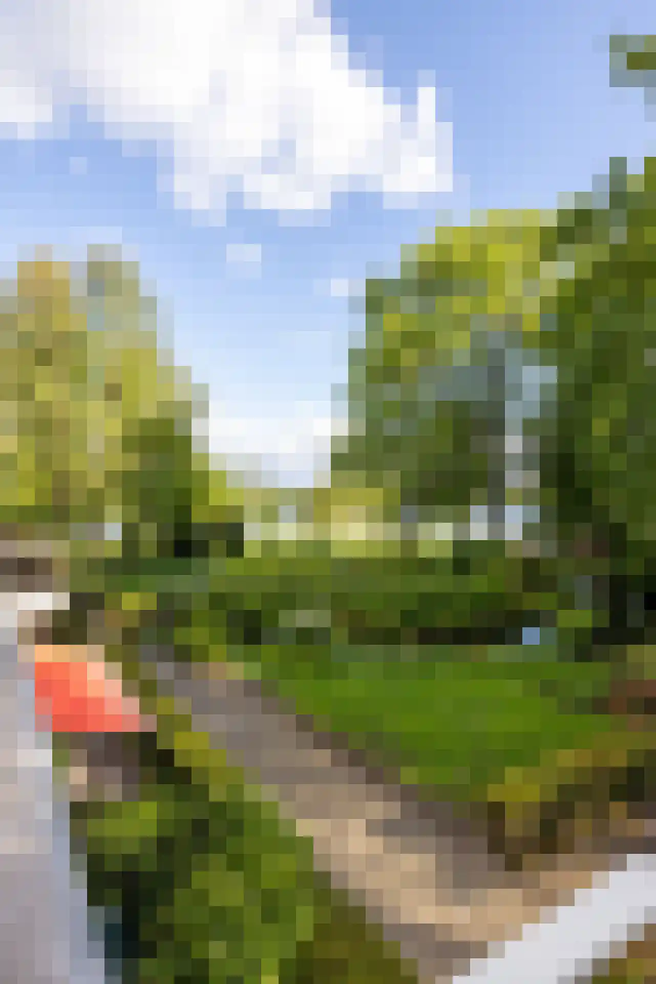 Park Bijdorp 27 Rotterdam thumbnail 43