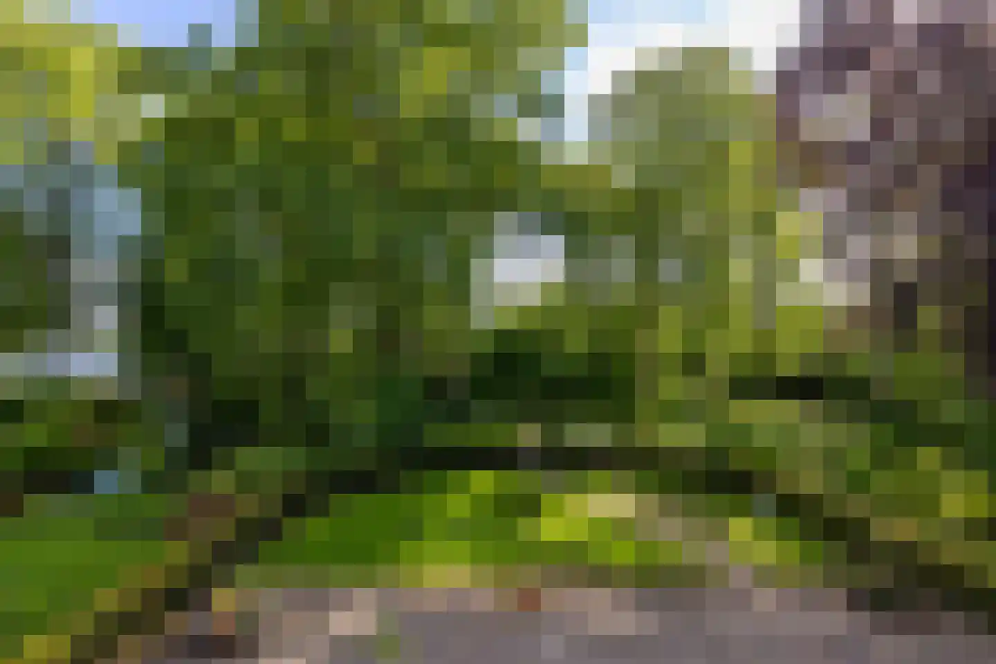 Park Bijdorp 27 Rotterdam thumbnail 44