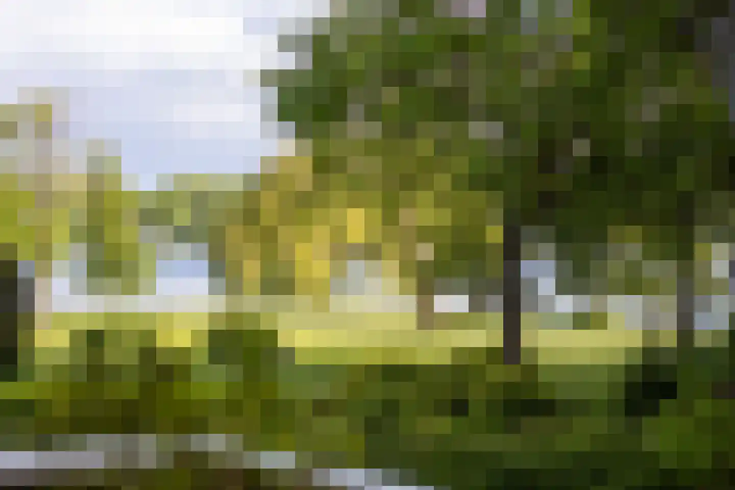 Park Bijdorp 27 Rotterdam thumbnail 45