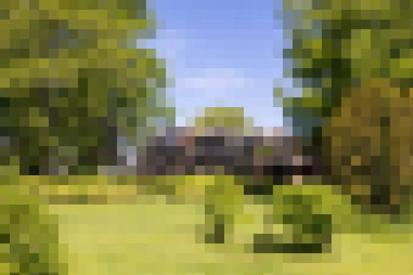 Park Bijdorp 27 Rotterdam thumbnail 46
