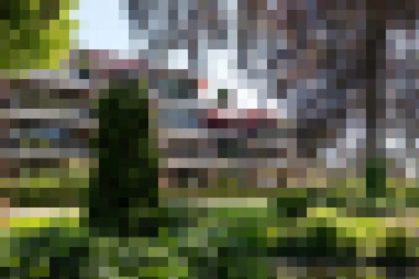 Park Bijdorp 27 Rotterdam thumbnail 47