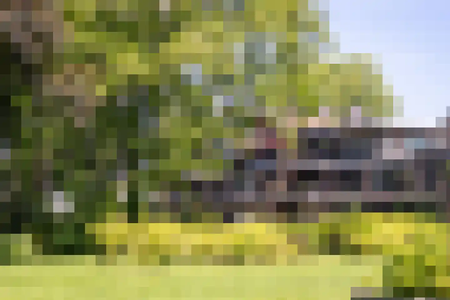 Park Bijdorp 27 Rotterdam thumbnail 48