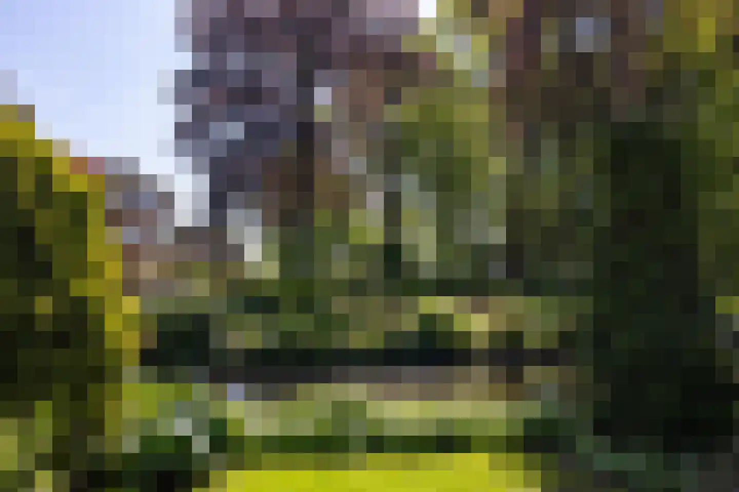 Park Bijdorp 27 Rotterdam thumbnail 49
