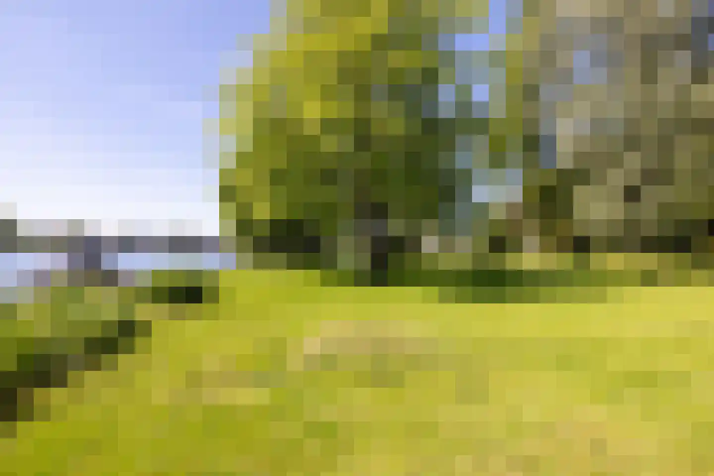 Park Bijdorp 27 Rotterdam thumbnail 5