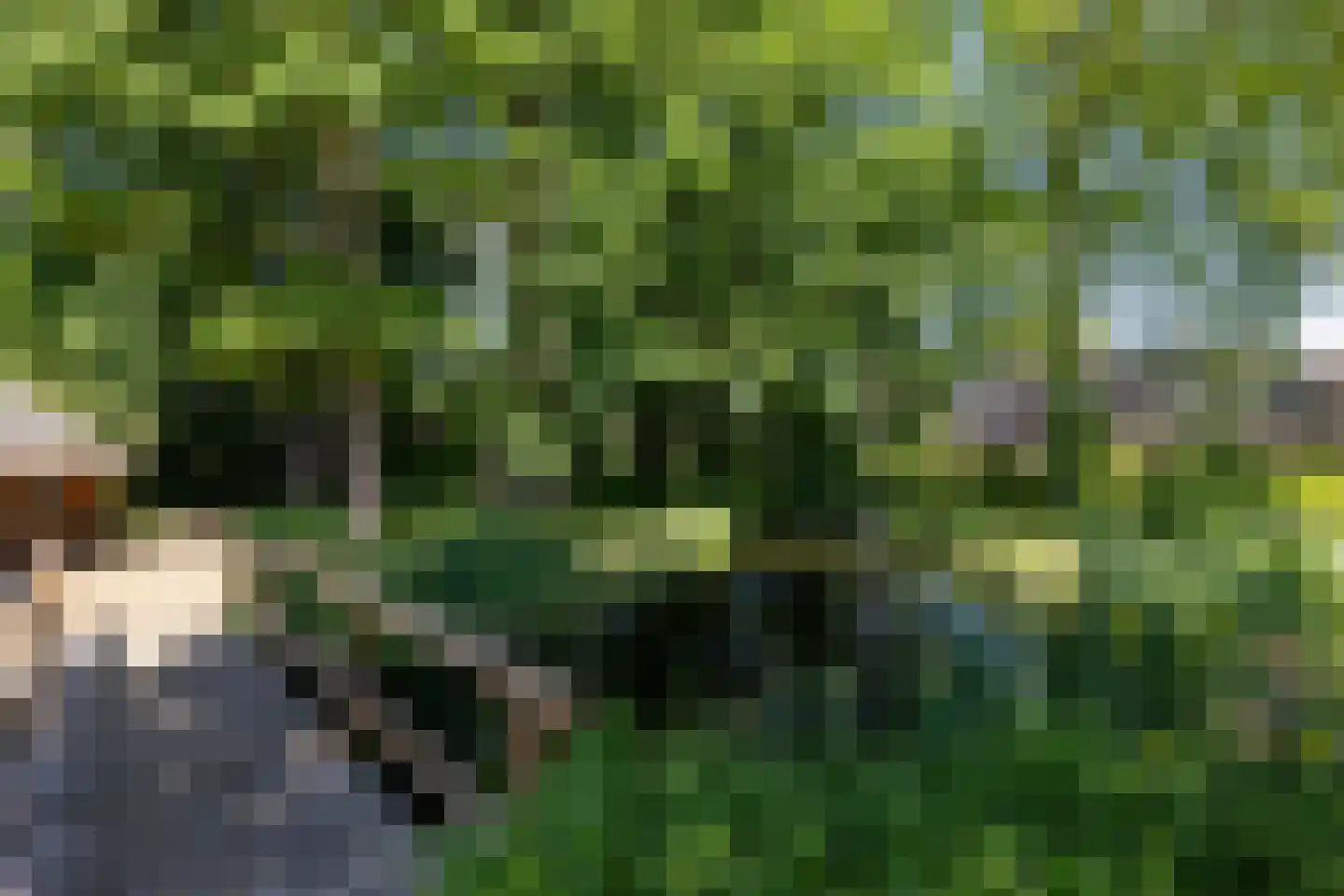 Park Bijdorp 27 Rotterdam thumbnail 50