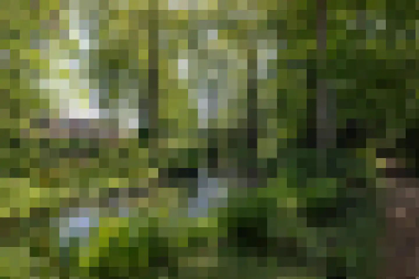Park Bijdorp 27 Rotterdam thumbnail 51