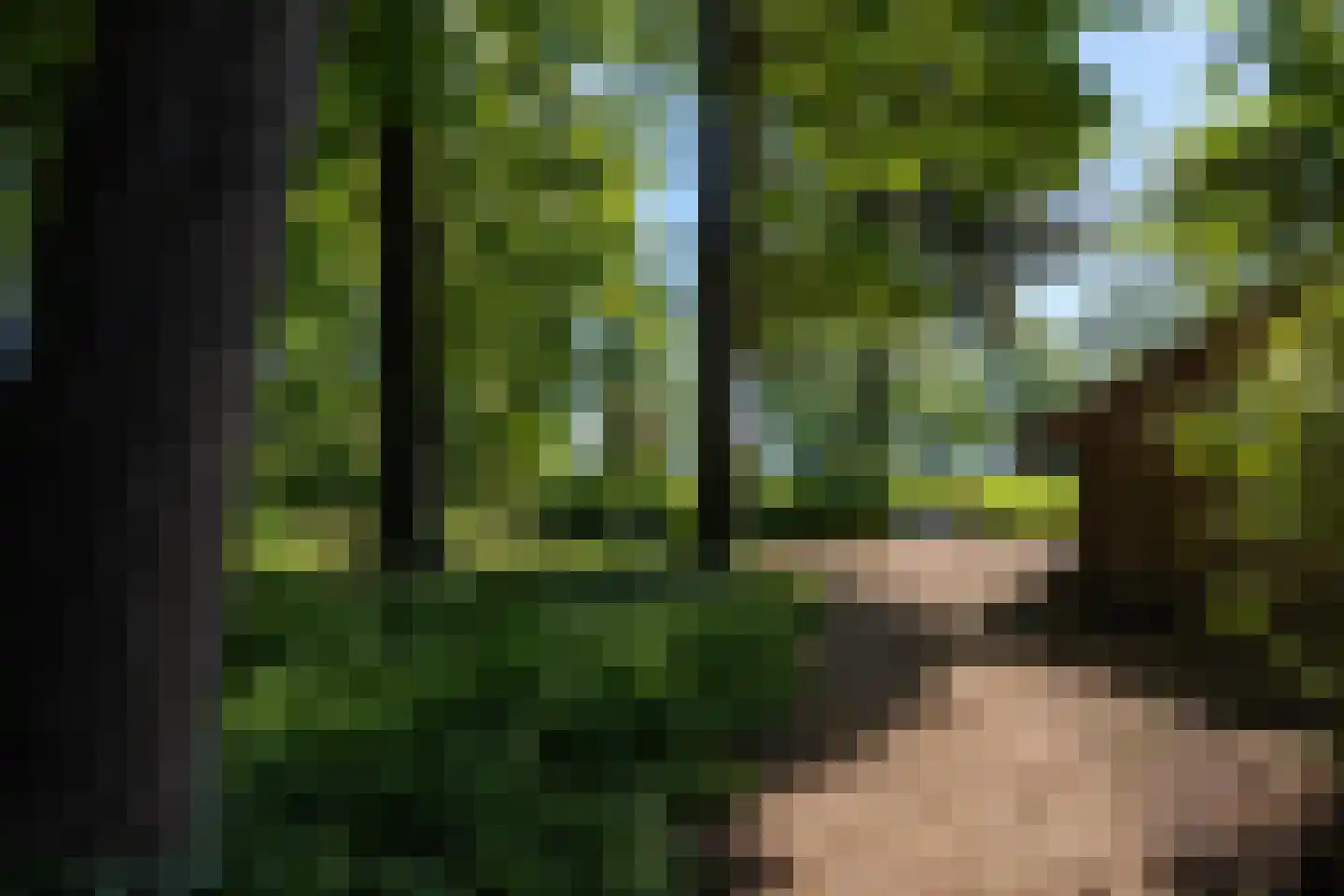 Park Bijdorp 27 Rotterdam thumbnail 52