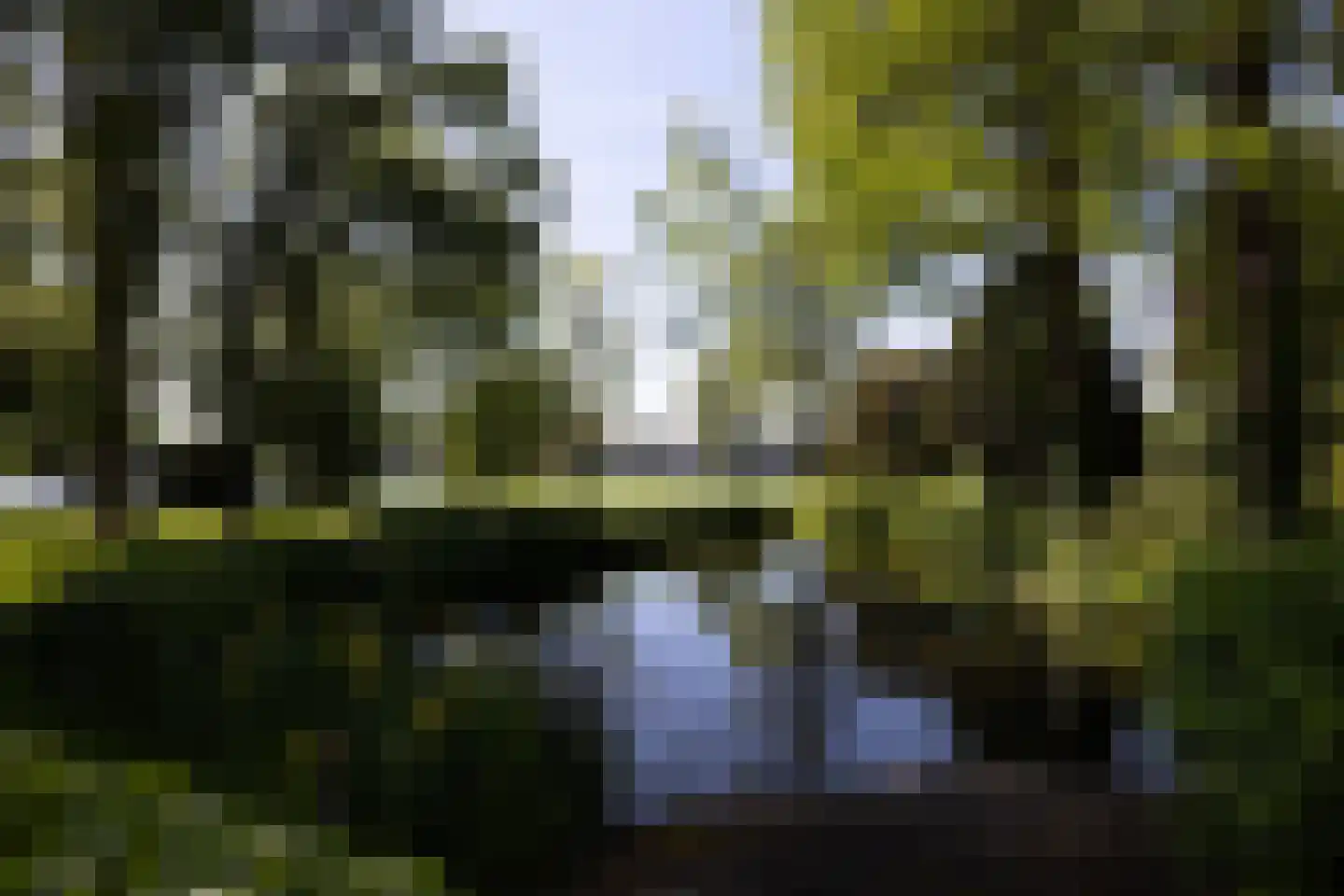 Park Bijdorp 27 Rotterdam thumbnail 53