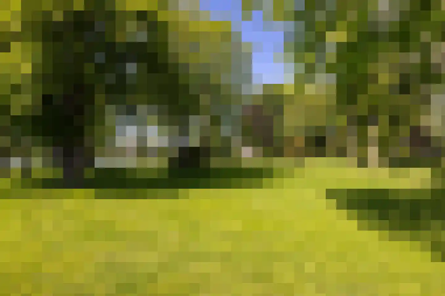 Park Bijdorp 27 Rotterdam thumbnail 54