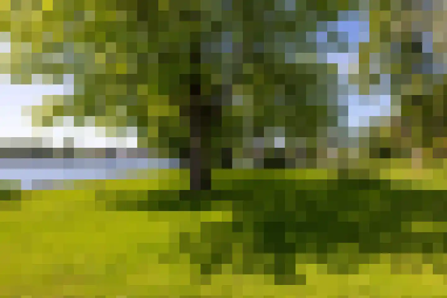 Park Bijdorp 27 Rotterdam thumbnail 55