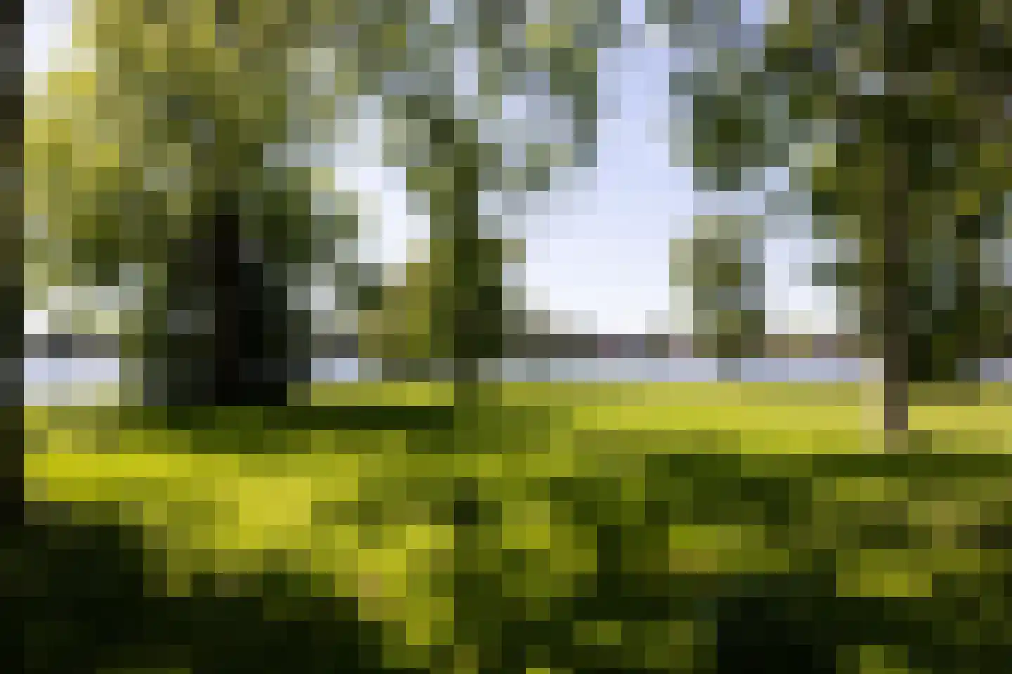 Park Bijdorp 27 Rotterdam thumbnail 56