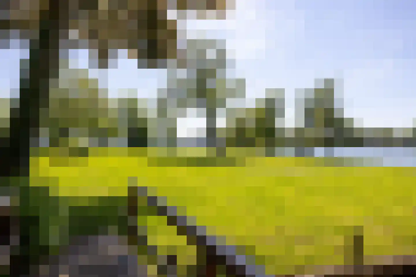 Park Bijdorp 27 Rotterdam thumbnail 58