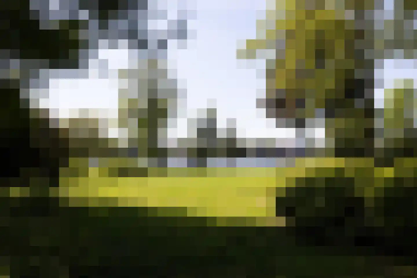 Park Bijdorp 27 Rotterdam thumbnail 59