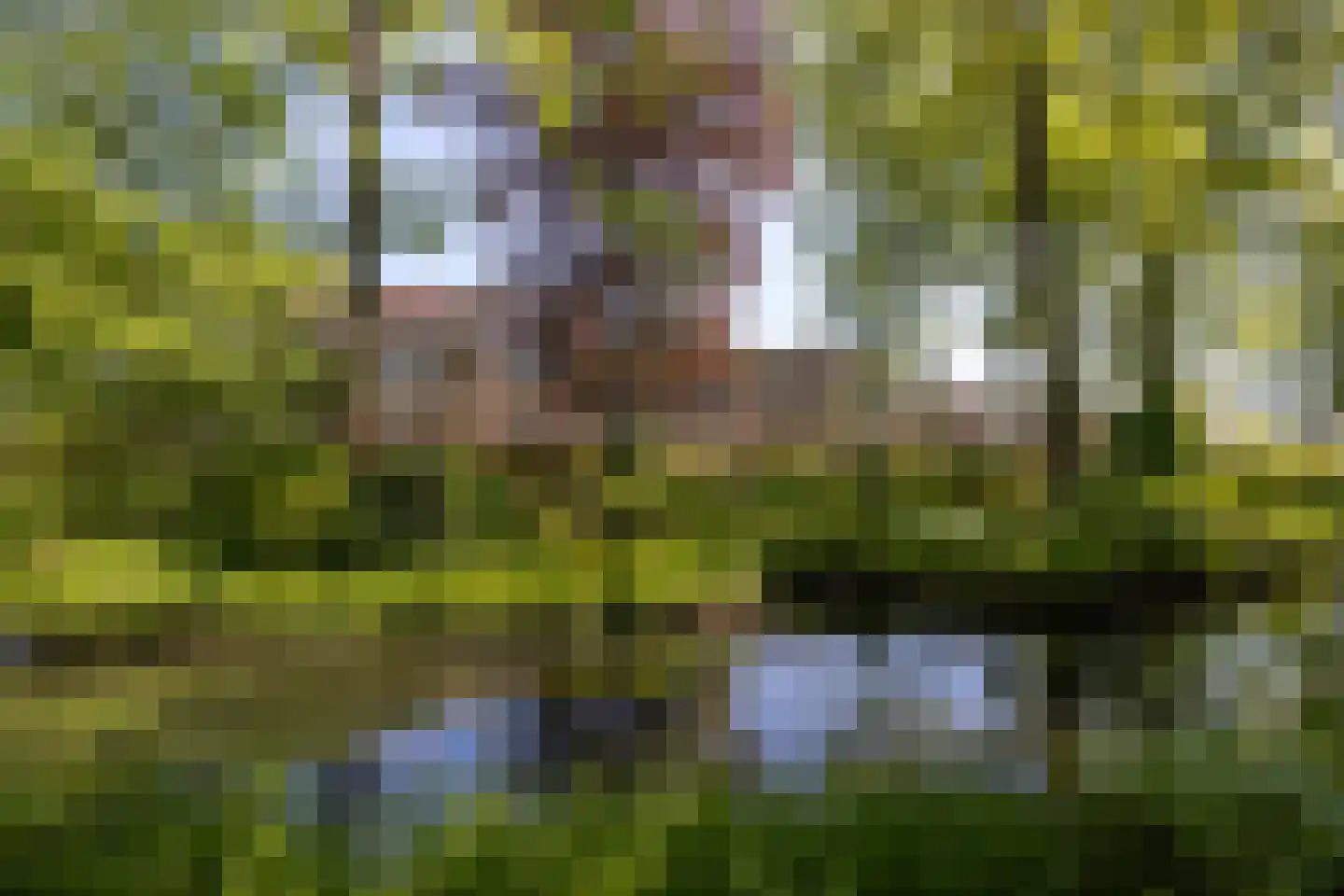 Park Bijdorp 27 Rotterdam thumbnail 6