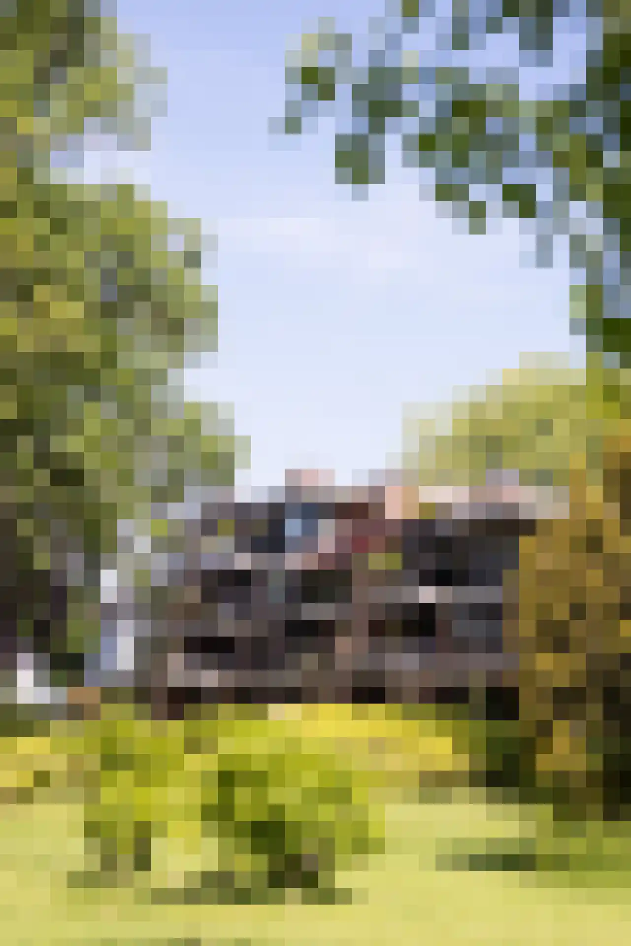 Park Bijdorp 27 Rotterdam thumbnail 61