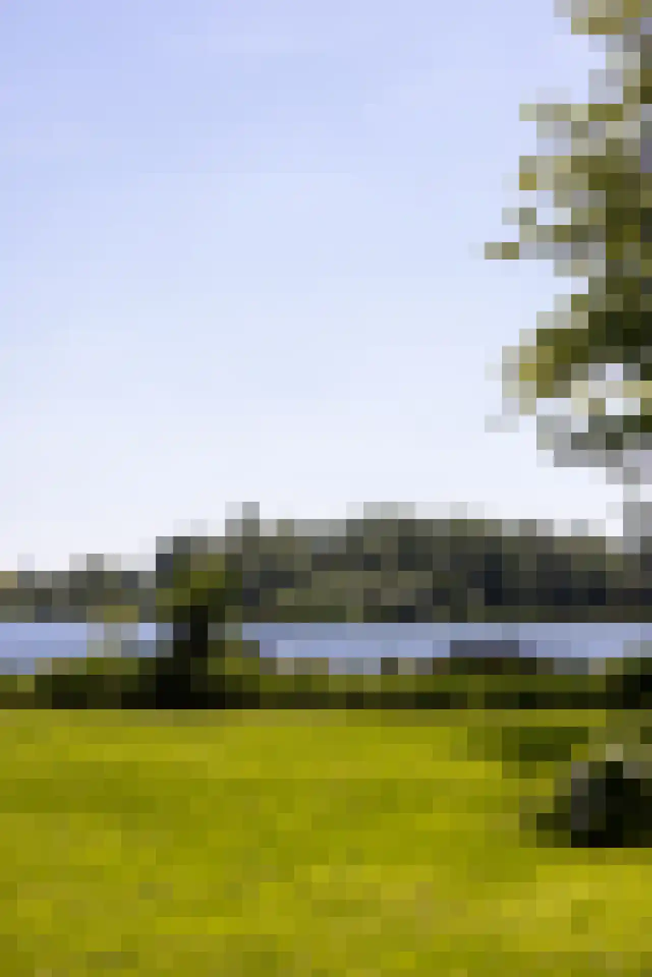 Park Bijdorp 27 Rotterdam thumbnail 62