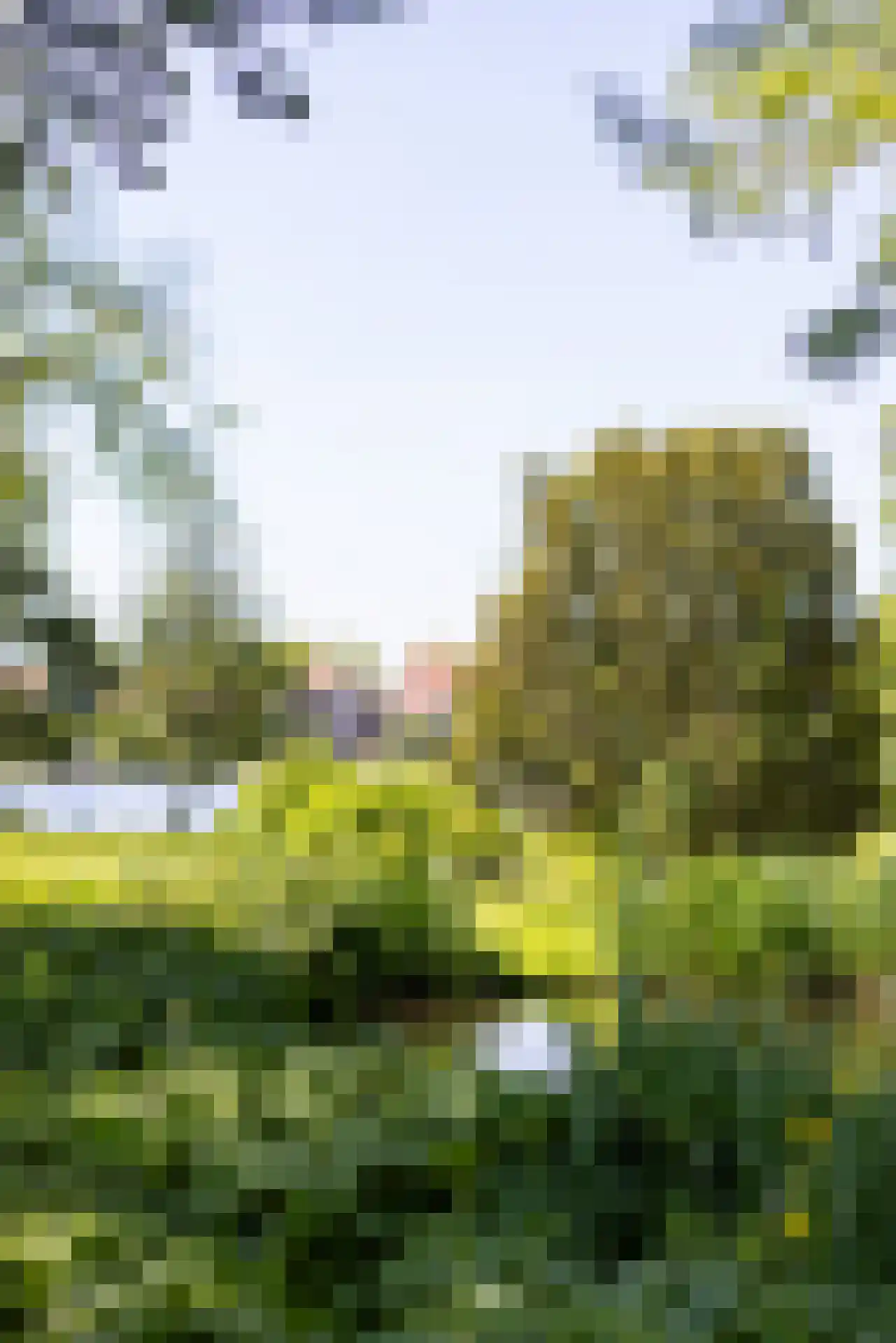 Park Bijdorp 27 Rotterdam thumbnail 63