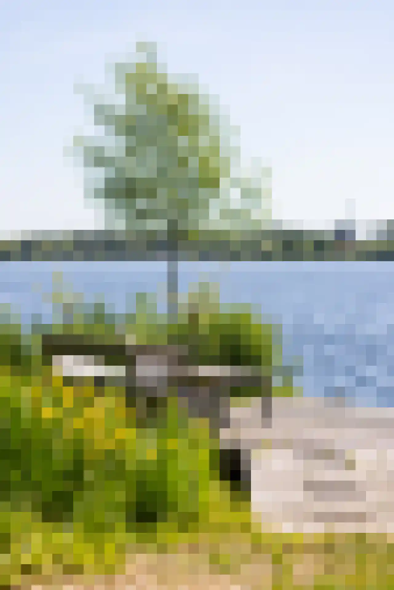 Park Bijdorp 27 Rotterdam thumbnail 64