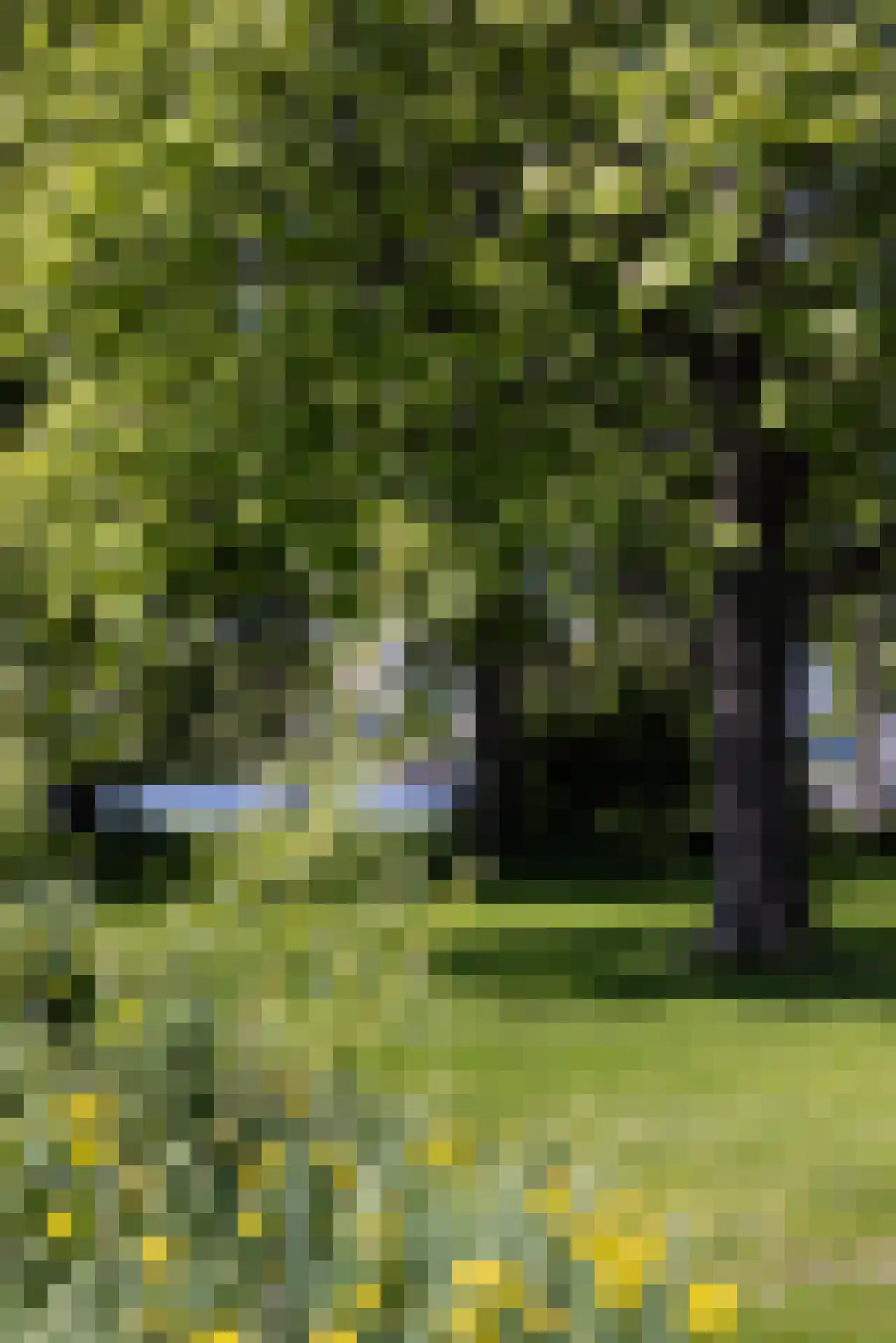 Park Bijdorp 27 Rotterdam thumbnail 66