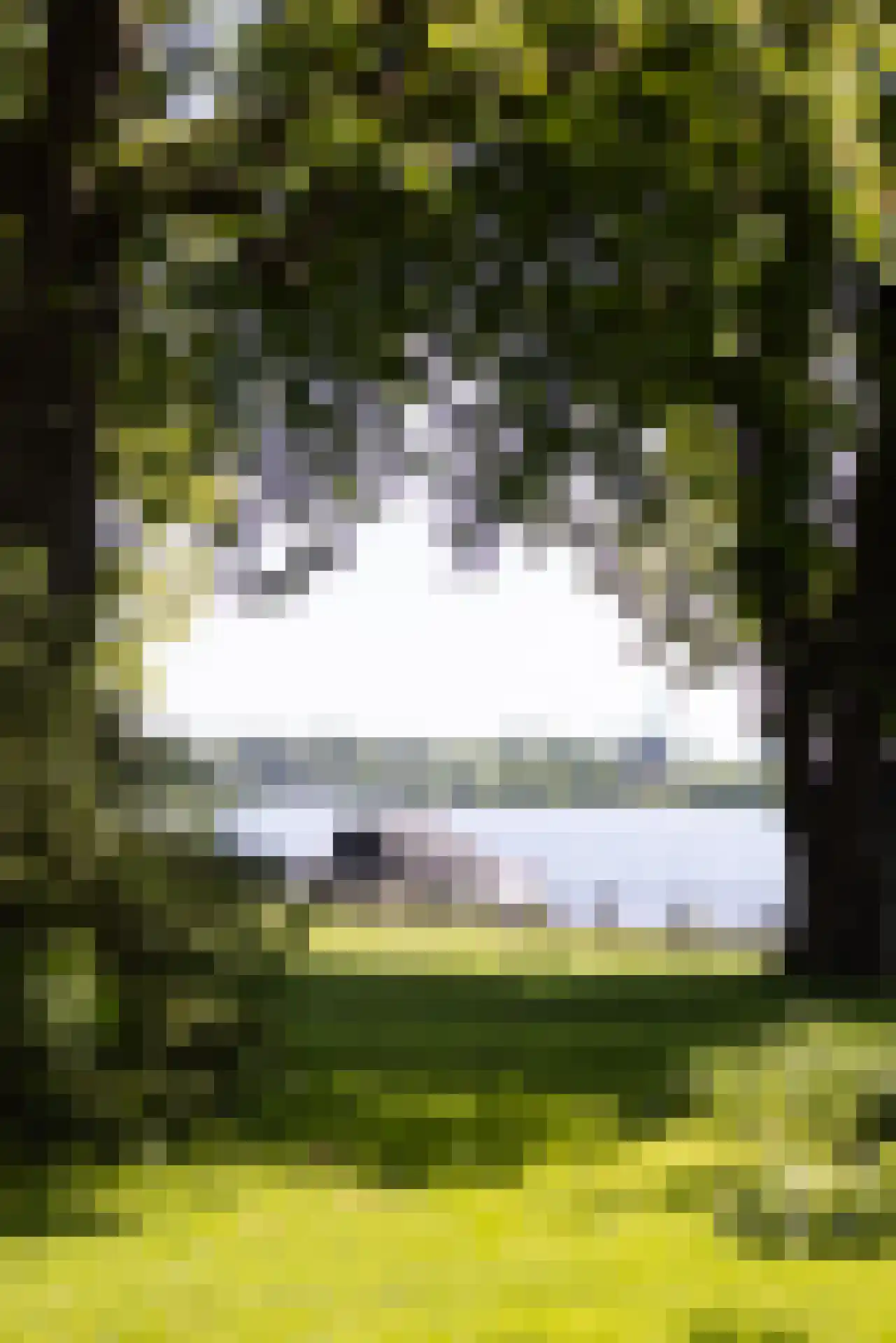 Park Bijdorp 27 Rotterdam thumbnail 67