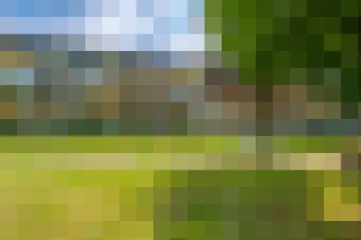 Park Boswijk 479 Doorn thumbnail 27