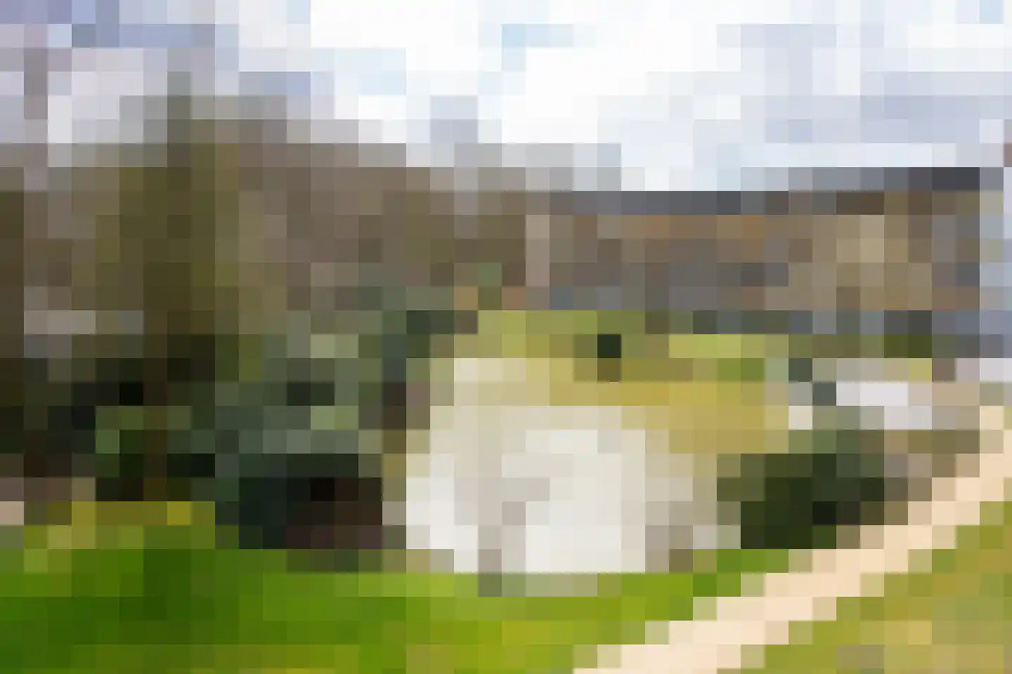 Park Boswijk 685 Doorn thumbnail 14