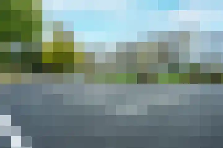 Park Boswijk 776 Doorn thumbnail 39