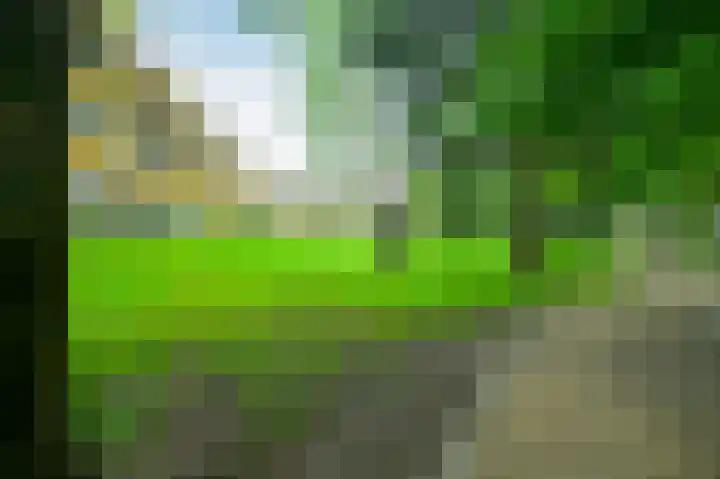 Park Boswijk 776 Doorn thumbnail 4