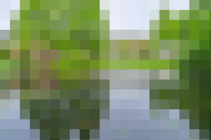 Park Boswijk 776 Doorn thumbnail 8
