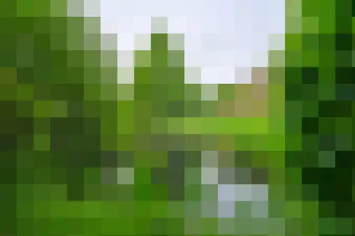 Park Boswijk 776 Doorn thumbnail 9