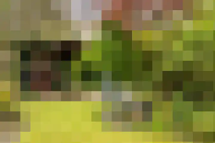 Park Broekheurne 28 Enschede thumbnail 33
