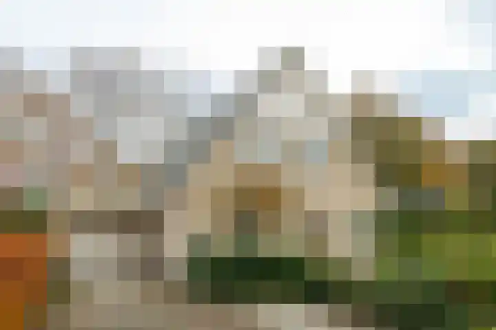 Park Broekheurne 9 Enschede thumbnail 6