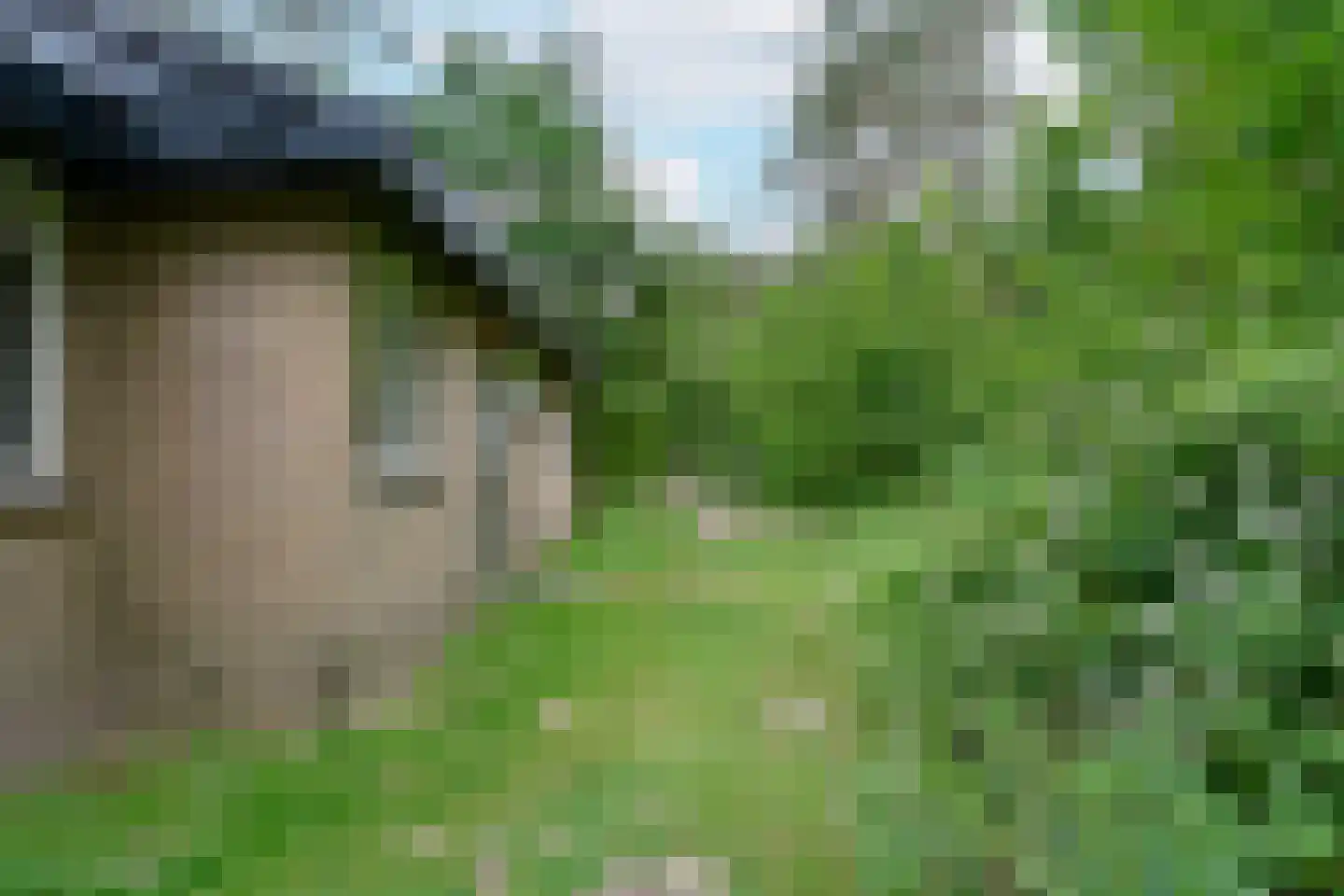Park Coldenhove 6 667 Eerbeek thumbnail 16
