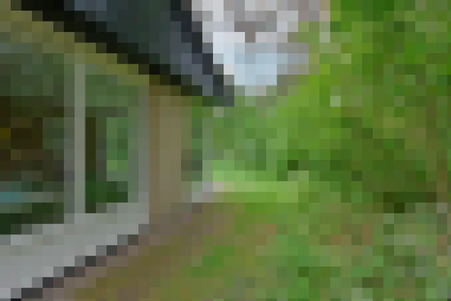 Park Coldenhove 6 667 Eerbeek thumbnail 17