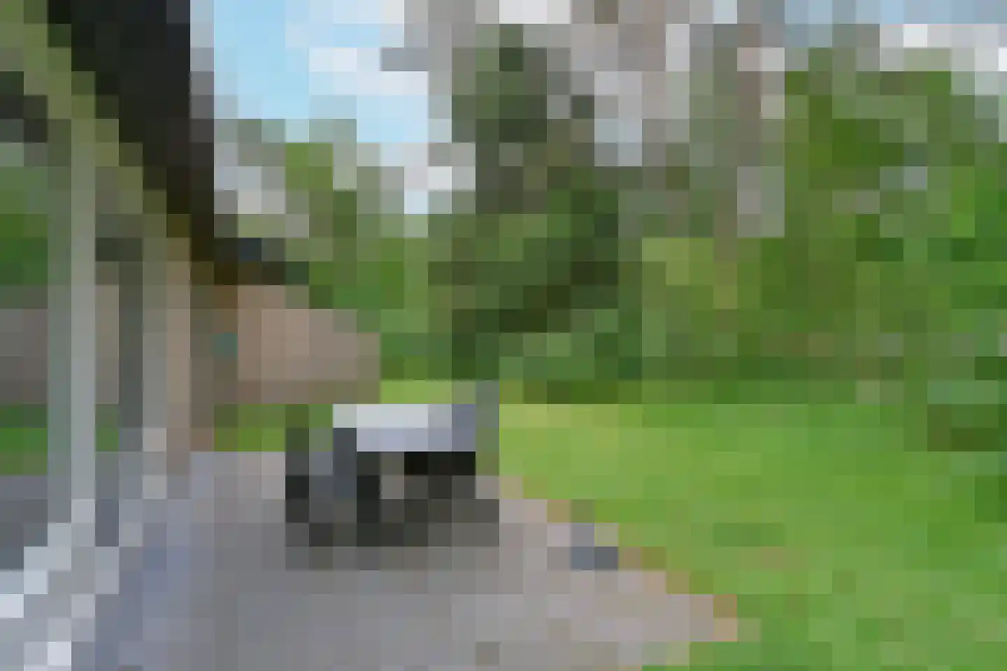 Park Coldenhove 6 667 Eerbeek thumbnail 18