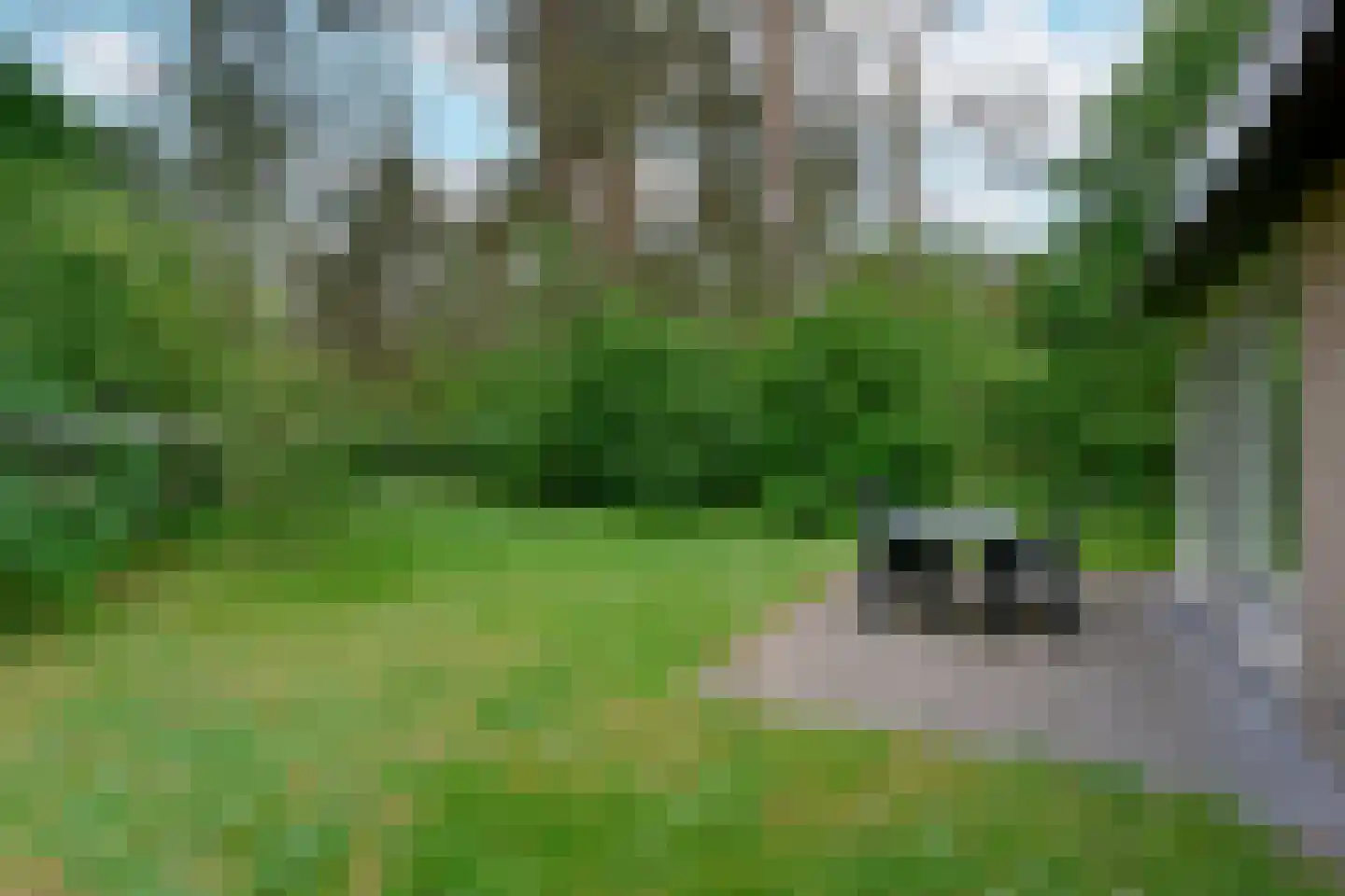 Park Coldenhove 6 667 Eerbeek thumbnail 19