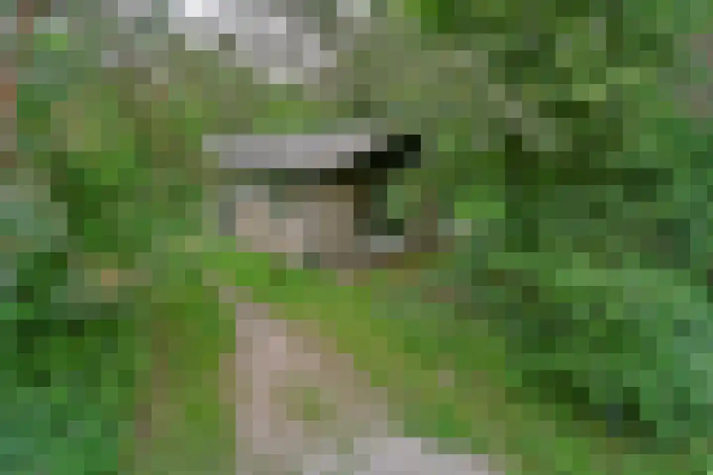 Park Coldenhove 6 667 Eerbeek thumbnail 22