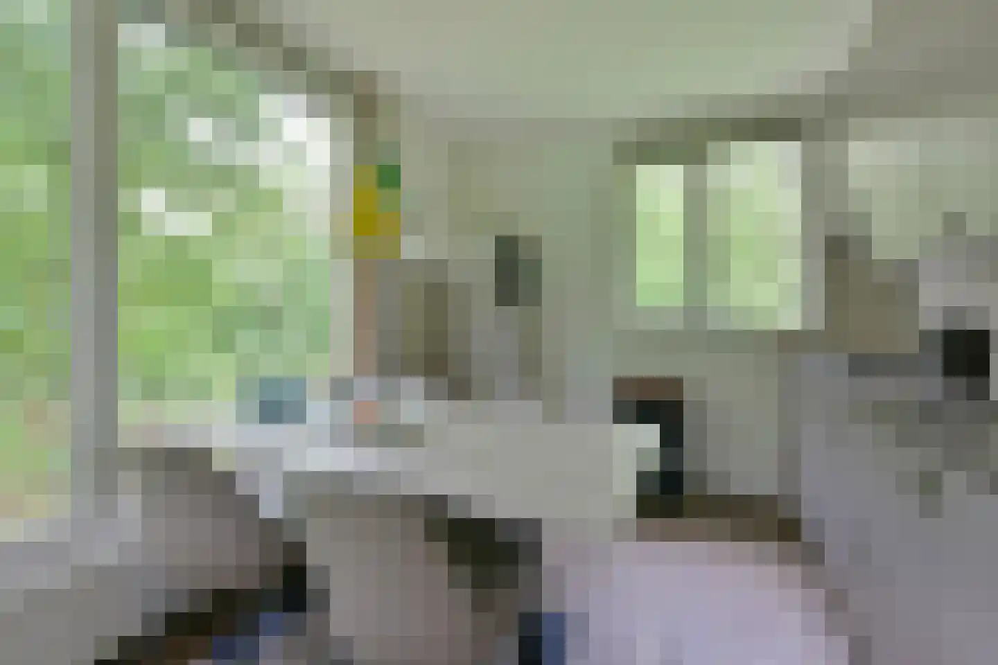 Park Coldenhove 6 667 Eerbeek thumbnail 7