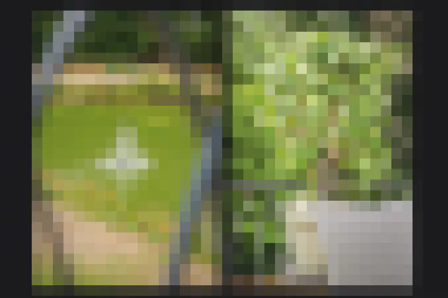 Park Craijenstein 14 Vught thumbnail 21