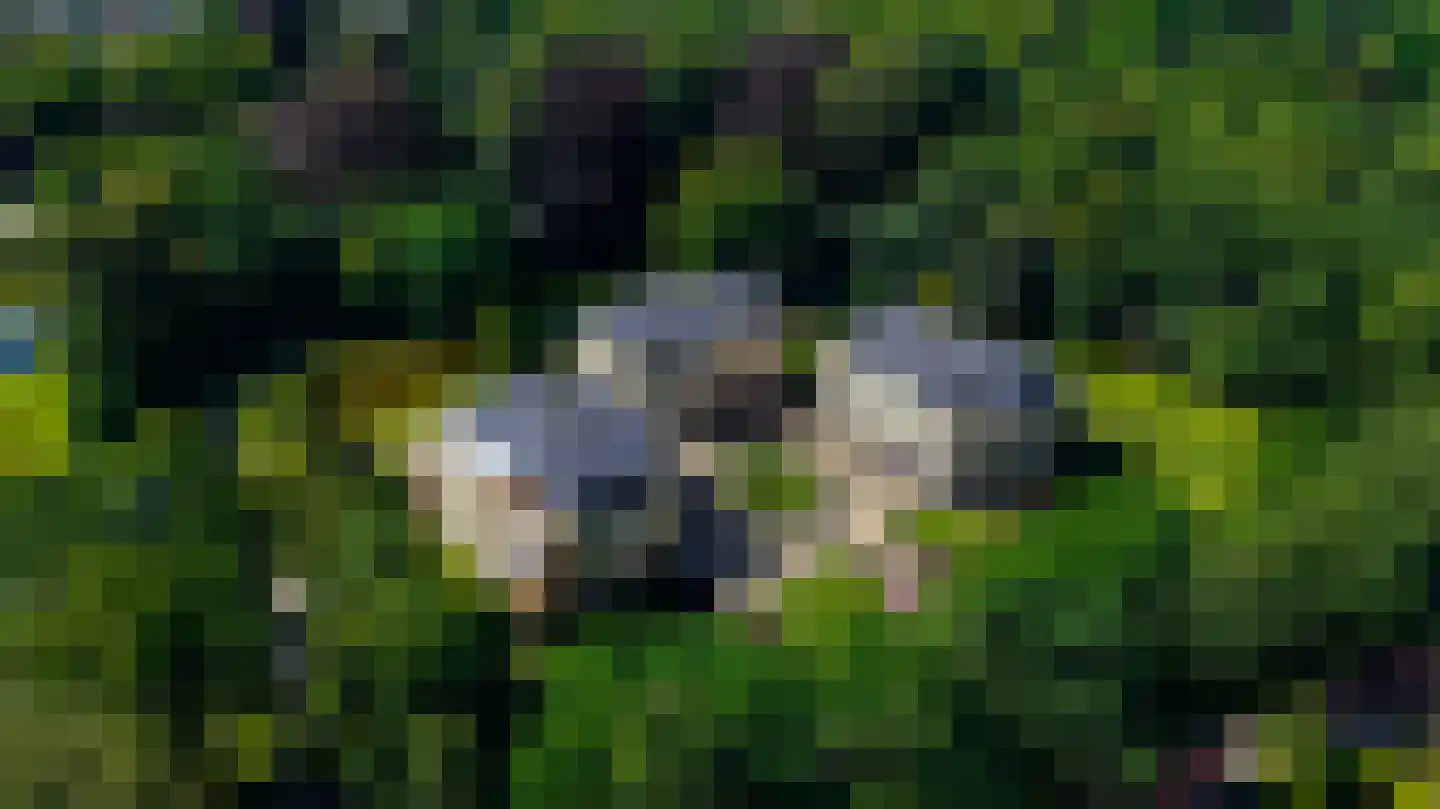 Park Craijenstein 33 Vught thumbnail 36