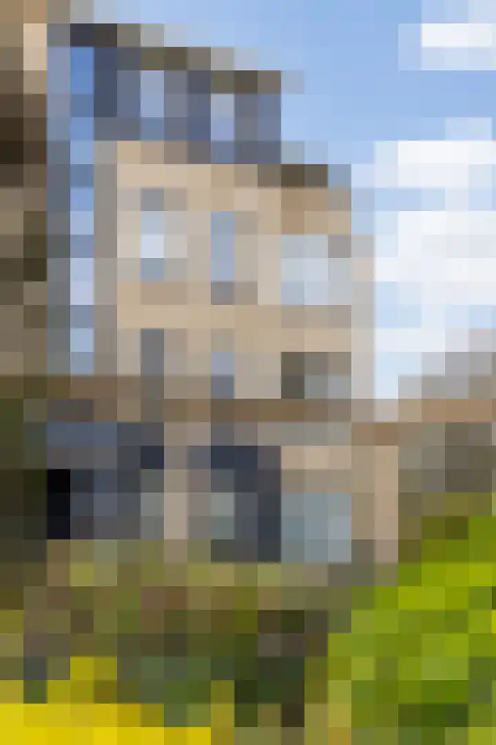 Park Craijenstein 33 Vught thumbnail 5