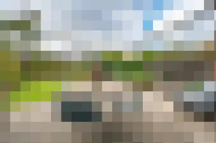Park de Elsberg 22 Voorburg thumbnail 12